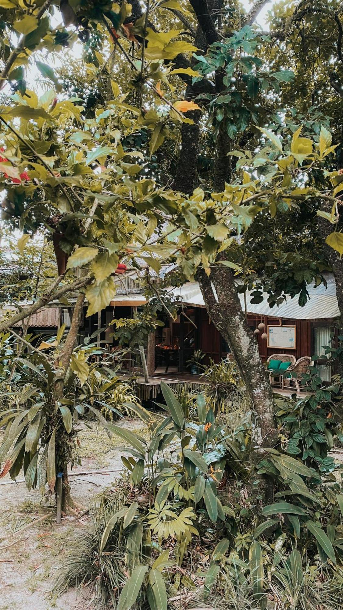 Bukit Raya Guesthouse Palangkaraya Esterno foto